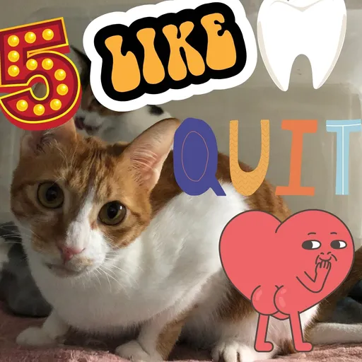 港短閪貓團（表情篇） - Sticker 16