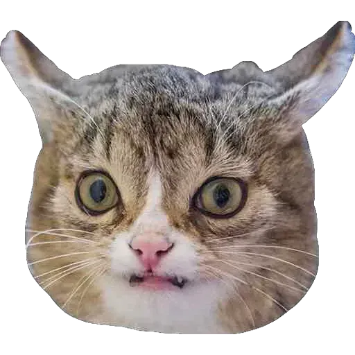 Kek - Sticker 20