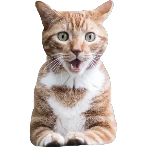 Kek - Sticker 24