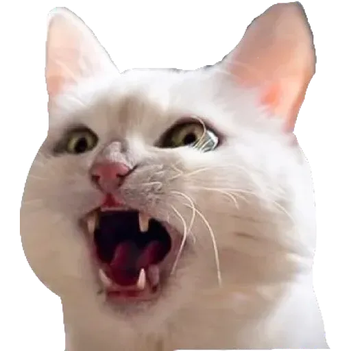 Kek - Sticker 29
