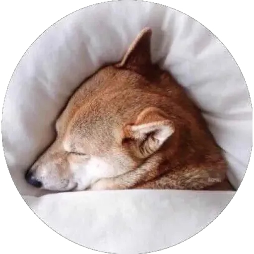 Kek - Sticker 11