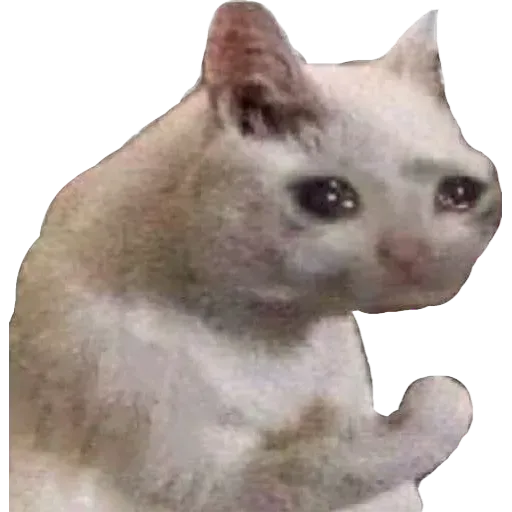 Kek - Sticker 28