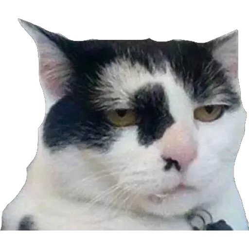 Kek - Sticker 16