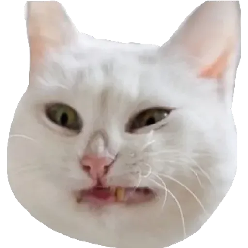 Kek - Sticker 30