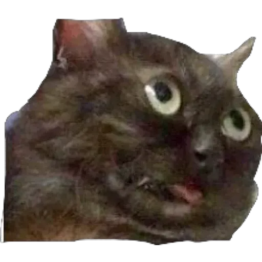 Kek - Sticker 27
