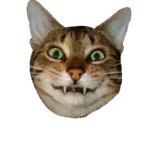 Kek - Sticker 19