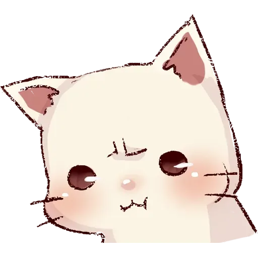 cat - Sticker 13