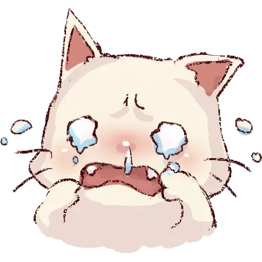 cat - Sticker 24