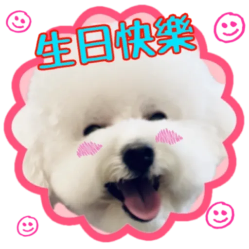 cookie 表情包 - Sticker 16
