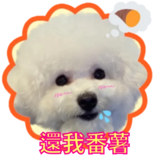 cookie 表情包 - Sticker 19