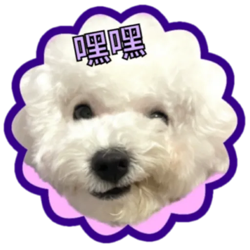cookie 表情包 - Sticker 23