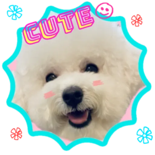 cookie 表情包 - Sticker 20