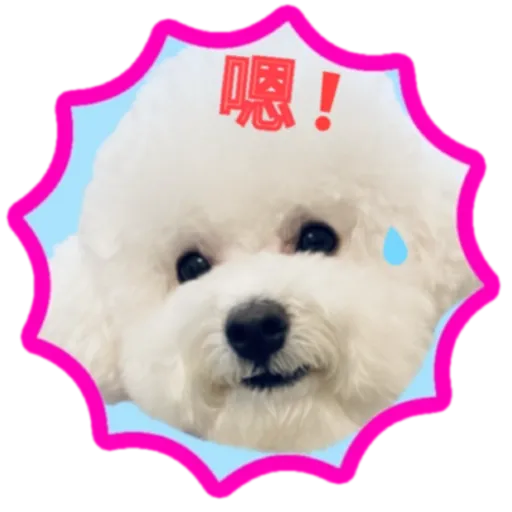 cookie 表情包 - Sticker 14