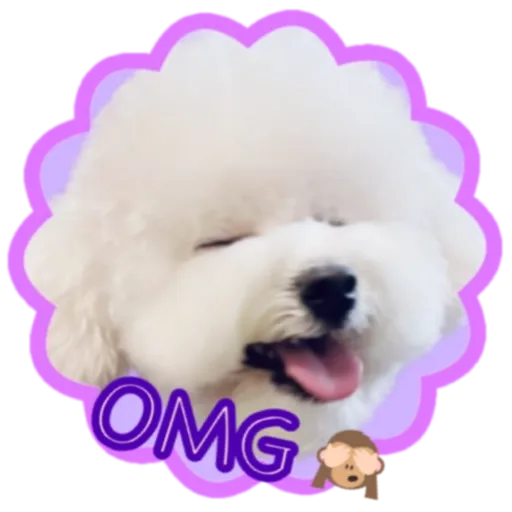 cookie 表情包 - Sticker 12