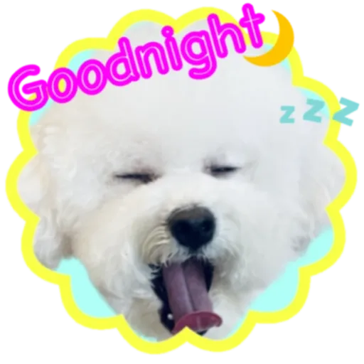 cookie 表情包 - Sticker 9