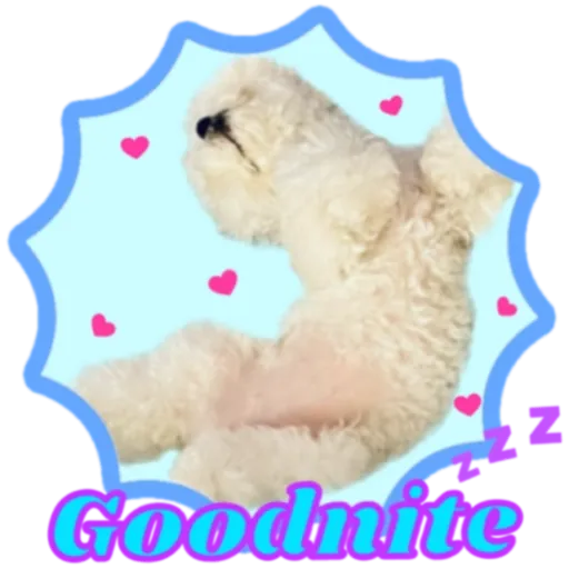 cookie 表情包 - Sticker 17