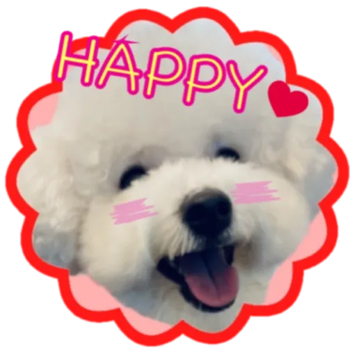 cookie 表情包 - Sticker 13