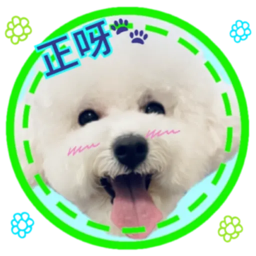 cookie 表情包 - Sticker 18