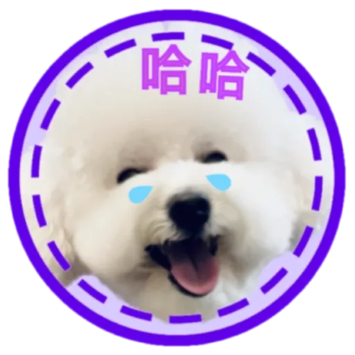 cookie 表情包 - Sticker 10