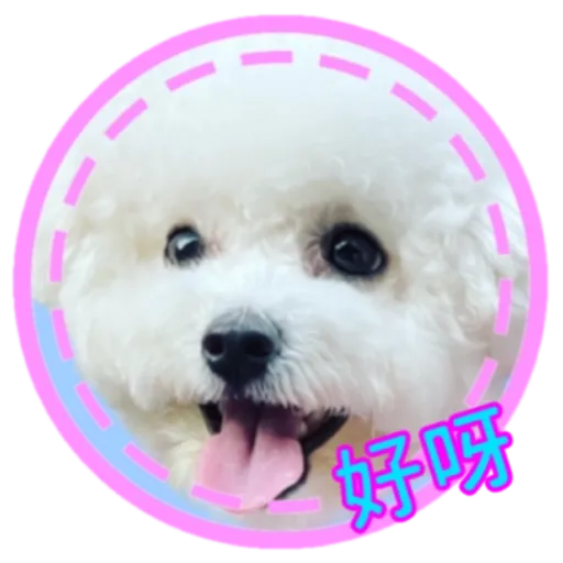 cookie 表情包 - Sticker 21