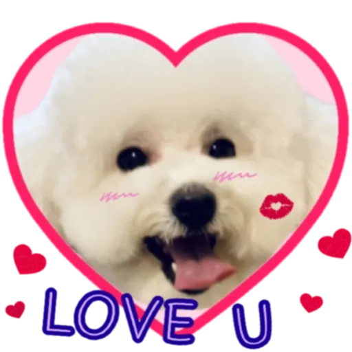 cookie 表情包 - Sticker 15