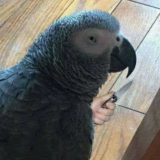 Bird 3 - Sticker 18