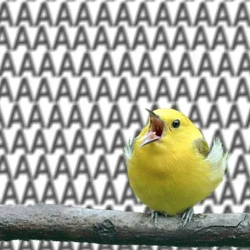 Bird 3 - Sticker 10