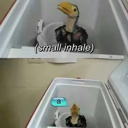 Bird 3 - Sticker 12
