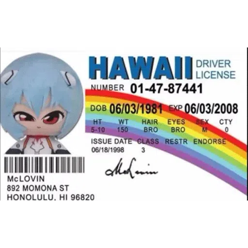 Rei Chikita 4 - Sticker 12