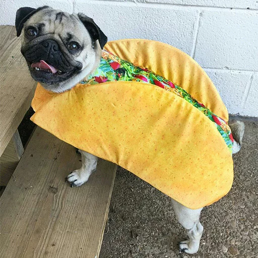 Dogs WhatsApp Stickers Stickers Cloud