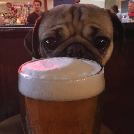 Dogs WhatsApp Stickers Stickers Cloud