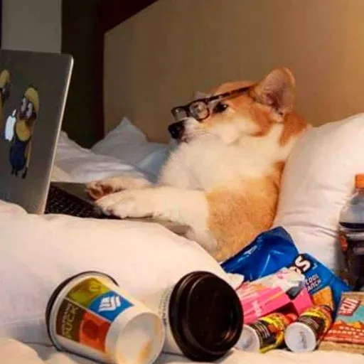 Dogs - Sticker 11
