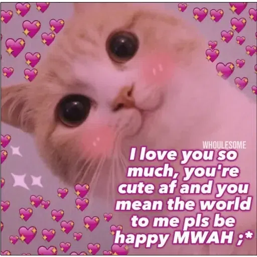 kalau nak curi sebut alhamdulillah💕 - Sticker 13