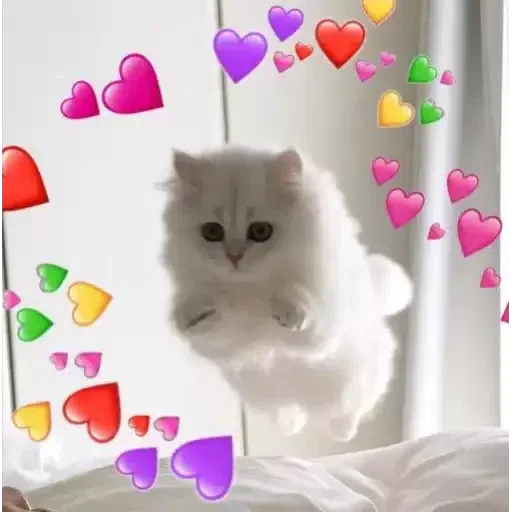 kalau nak curi sebut alhamdulillah💕 - Sticker 27