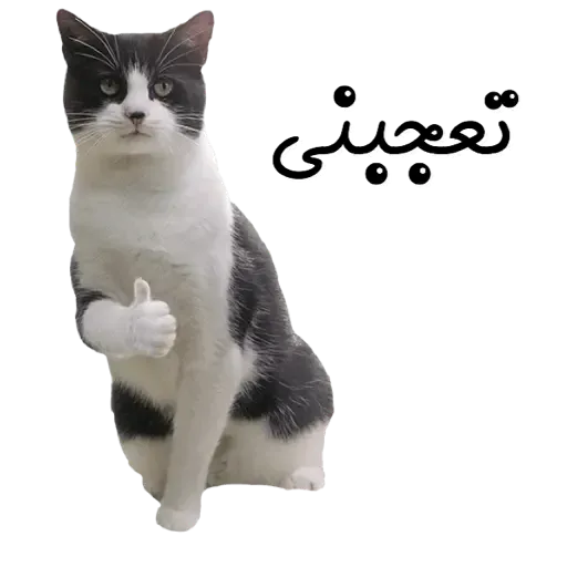Arabic3 - Sticker 12