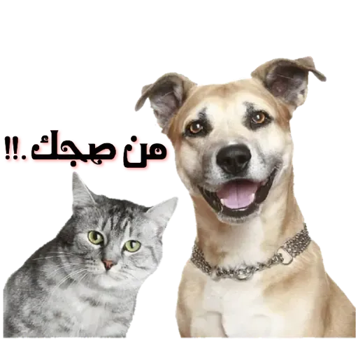 Arabic3 - Sticker 10