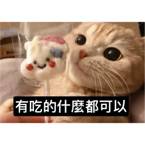 Cat2 - Sticker 15