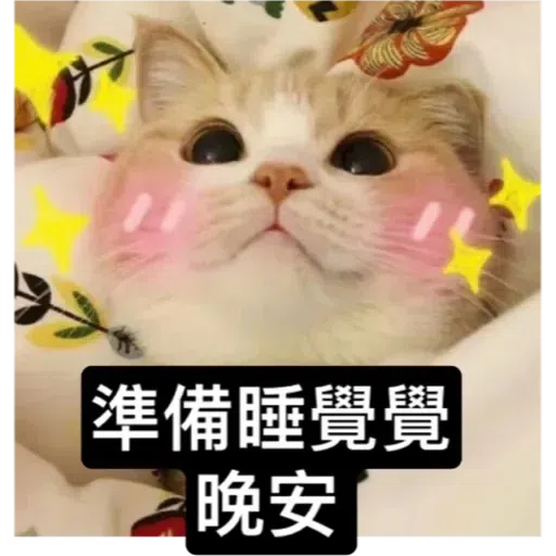 Cat2 - Sticker 27