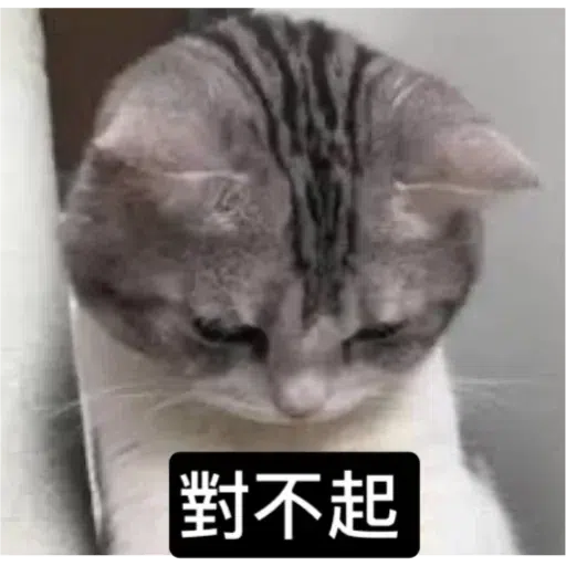 Cat2 - Sticker 13