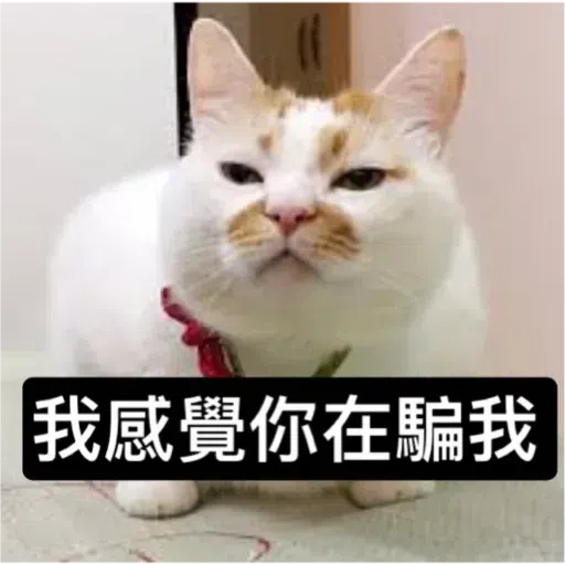 Cat2 - Sticker 23