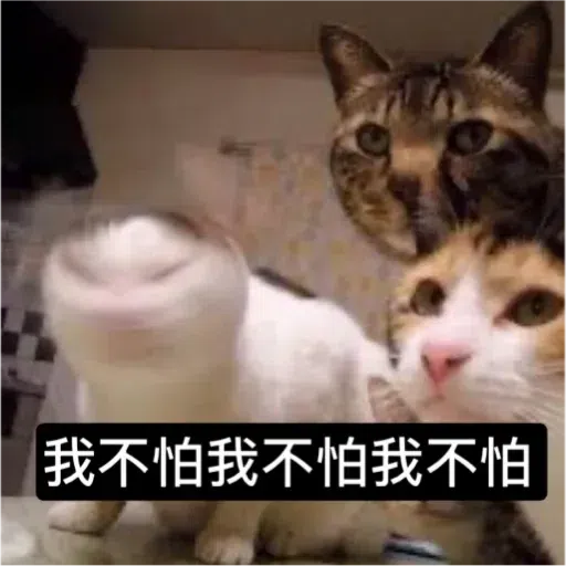 Cat2 - Sticker 29