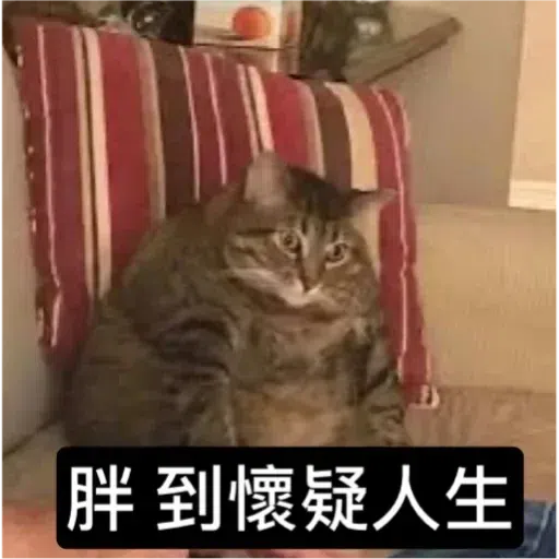Cat2 - Sticker 18