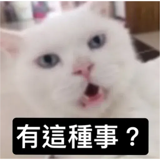 Cat2 - Sticker 10