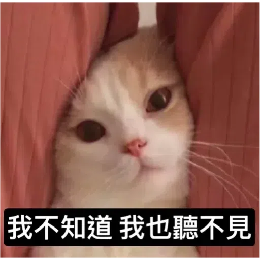 Cat2 - Sticker 24