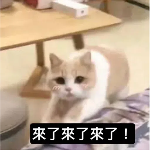 Cat2 - Sticker 28
