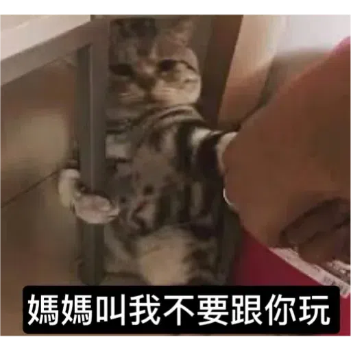 Cat2 - Sticker 9