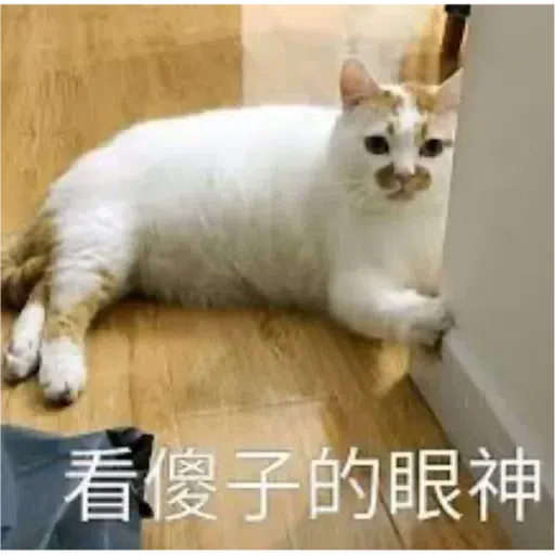 Cat2 - Sticker 19