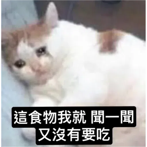 Cat2 - Sticker 14