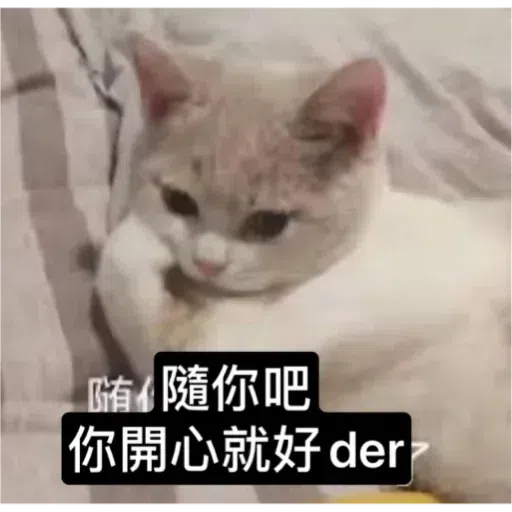 Cat2 - Sticker 22