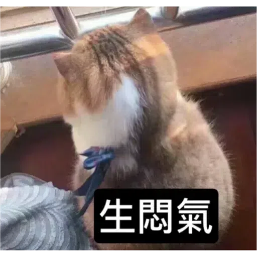Cat2 - Sticker 26